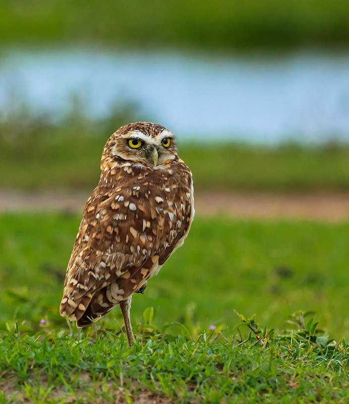 Юлия Коновалова .:Gloomy:. | Roma