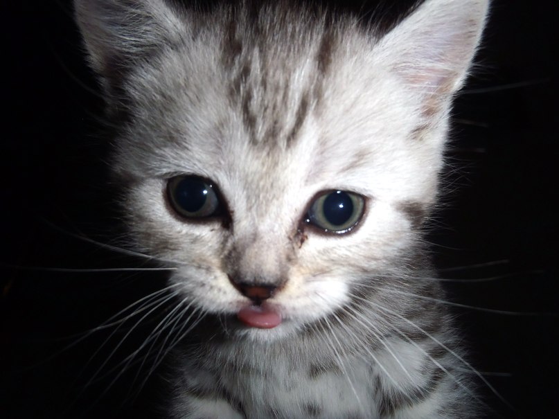 Дмитрий Беляков | Москва