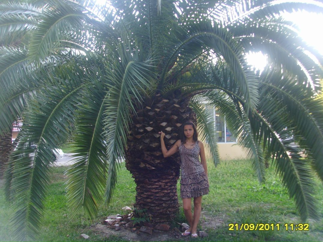Артем Дроздов | Санкт-Петербург