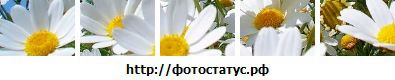 №40 Ирина Молодовская 26.05: профиль, фото, статус - ВКонтакте