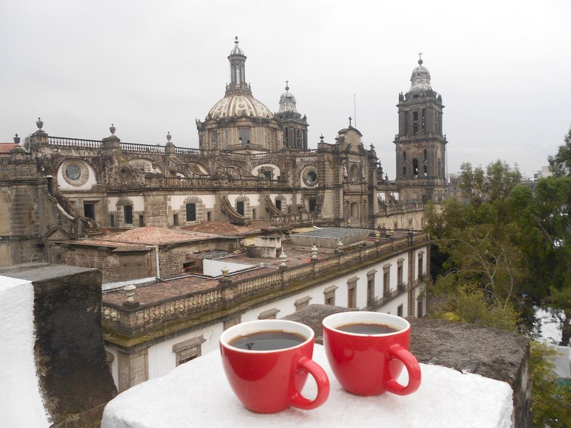 Даша Езерова | Москва