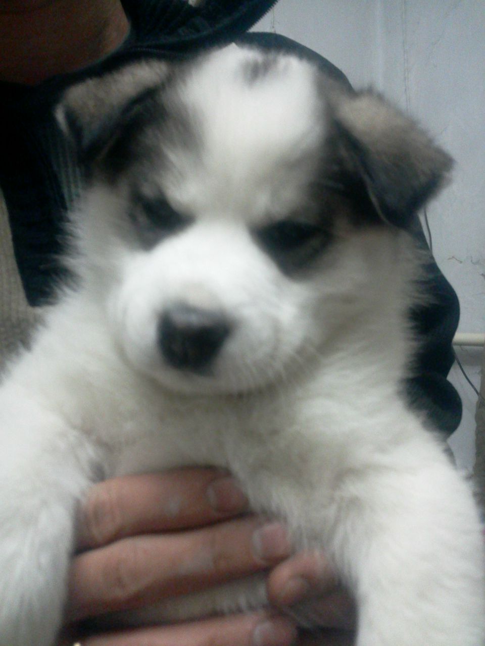 Марина Максимова | Челябинск