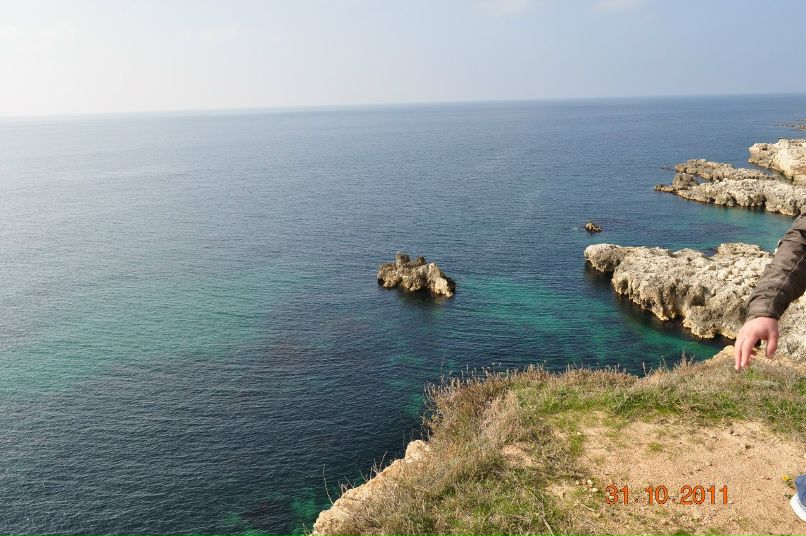 Руслан Васильев | Севастополь