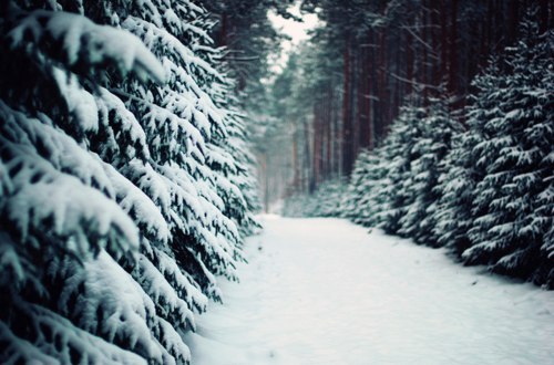 Olga Baya | Москва