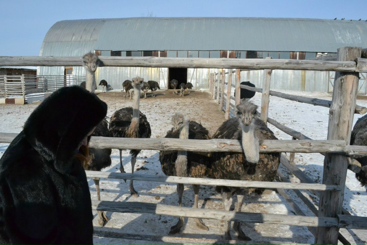 Анна Андреевна Кеша | Тюмень