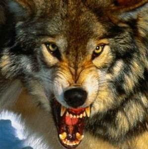 №53, Просто Так, 32 года, Москва №53, Просто Так, 32 года, Москва