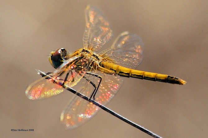 Иван Свиридов | Санкт-Петербург