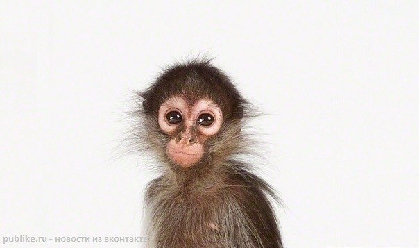 №72, Антоха Котарев, Киев №72, Антоха Котарев, Киев