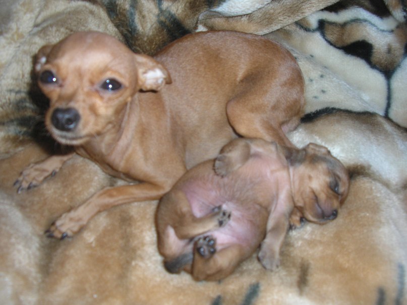 Лёха Иванов | Новый Уренгой