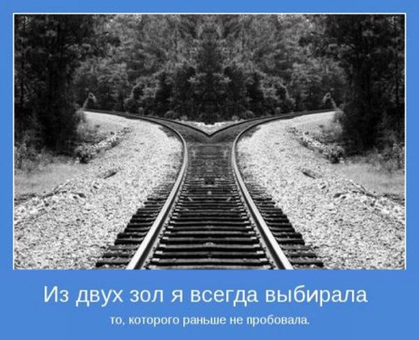 Александр Шабанов | Санкт-Петербург