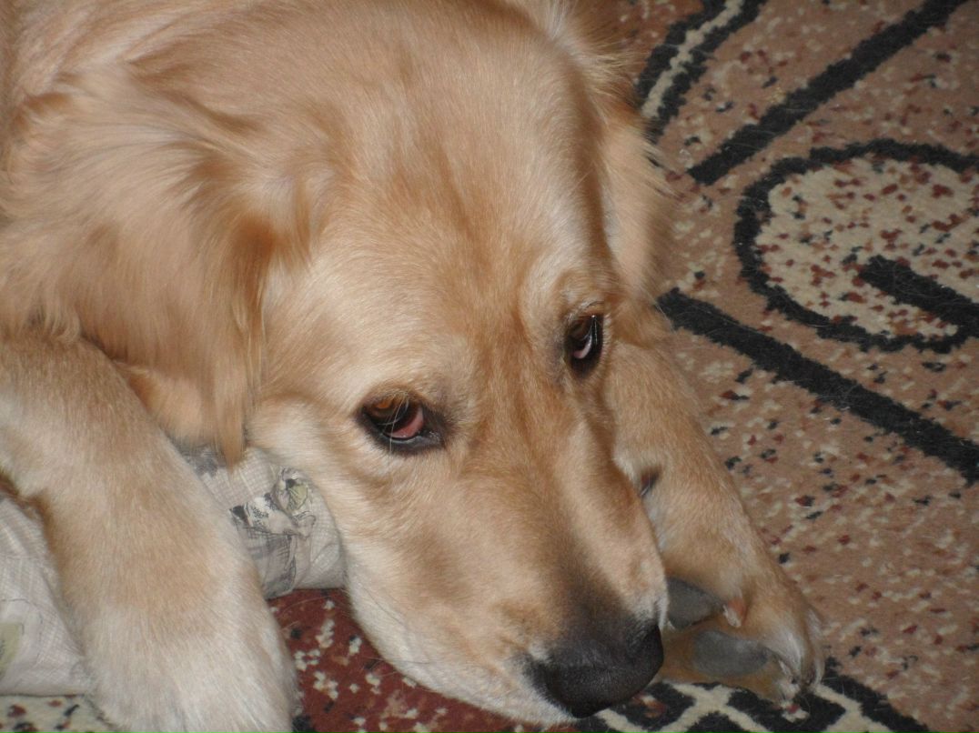 Виктор Артемов | Москва