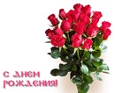 Фотография Альфира Зарипова