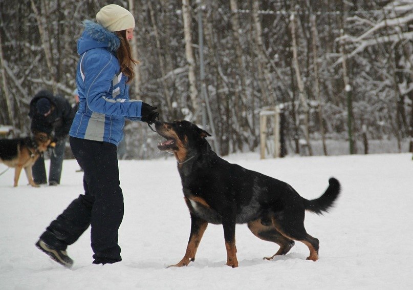 Вика Петлина | Москва