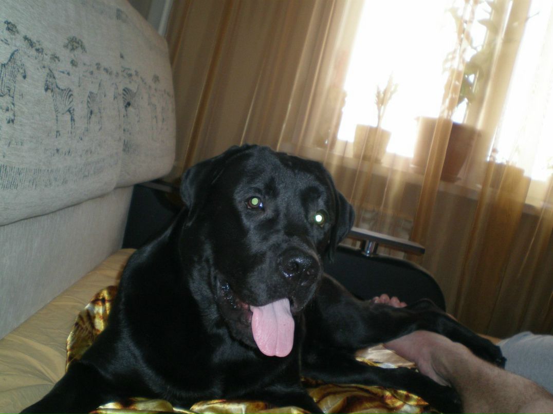 Даринда Пяткова-Никитина | Новосибирск