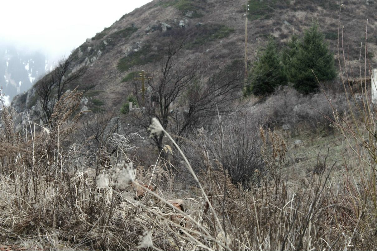 Николай Шмидт Михалыч | Алматы