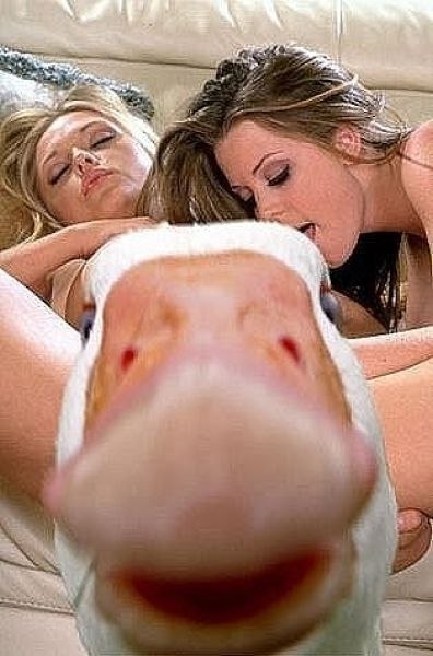 Андрей Аршавин | Донецк