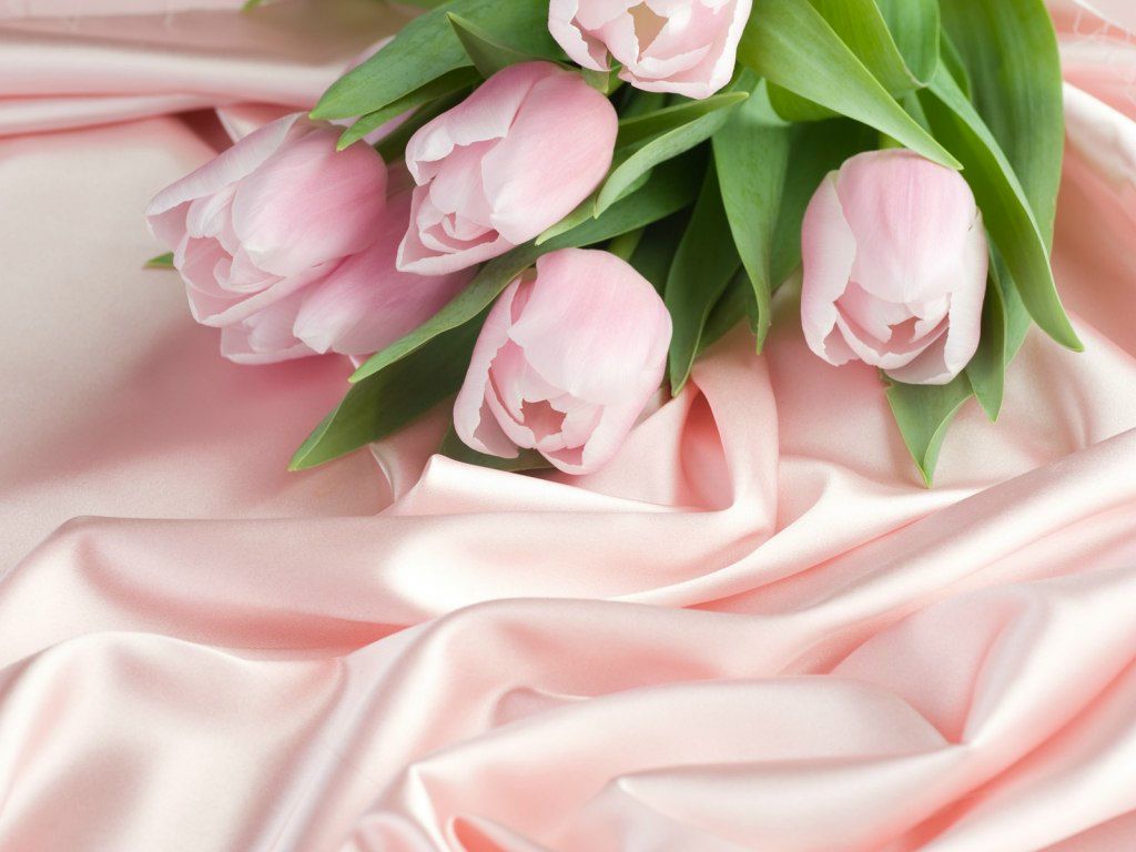 Наталия Погодина | Костомукша