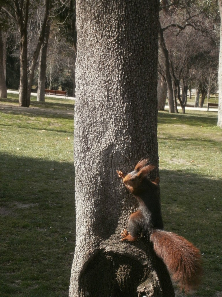 Саида Золина | Санкт-Петербург