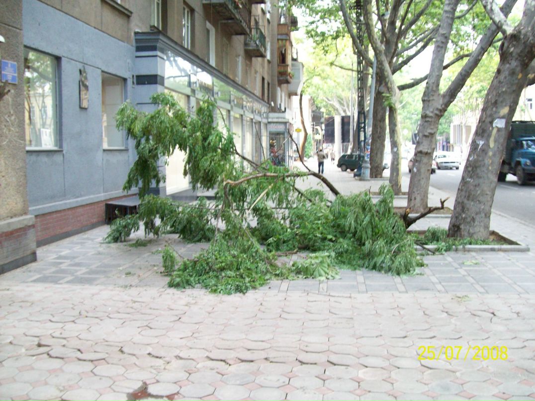 Дима Великанов Михайлович | Киев