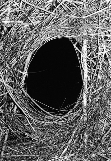 Ольга Петрова | 