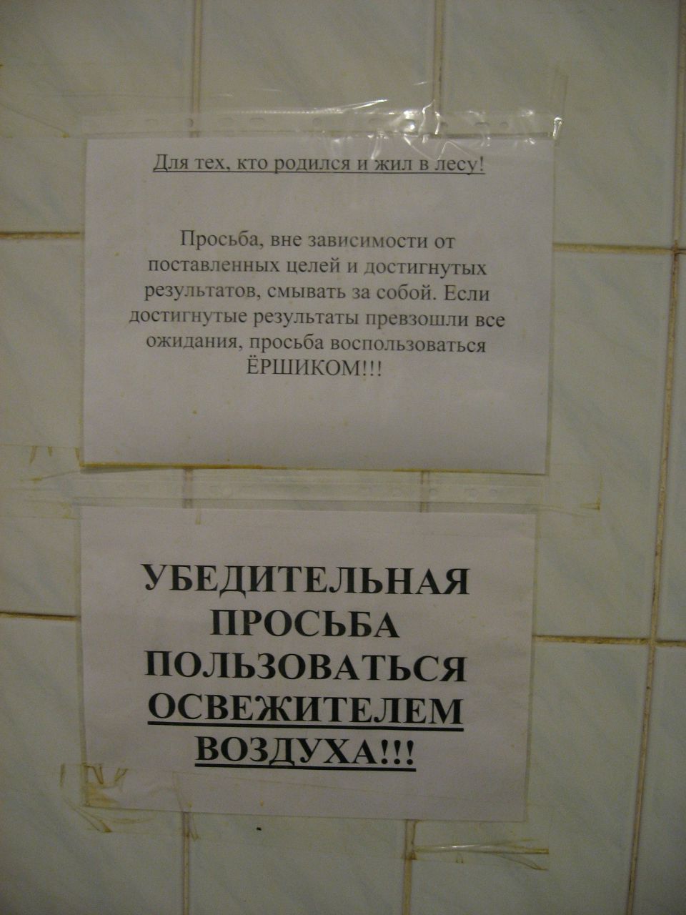 Сан Ершенков Саныч | 