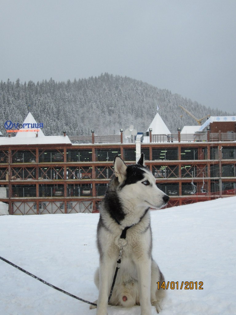 Саня Грабар | Коростышев