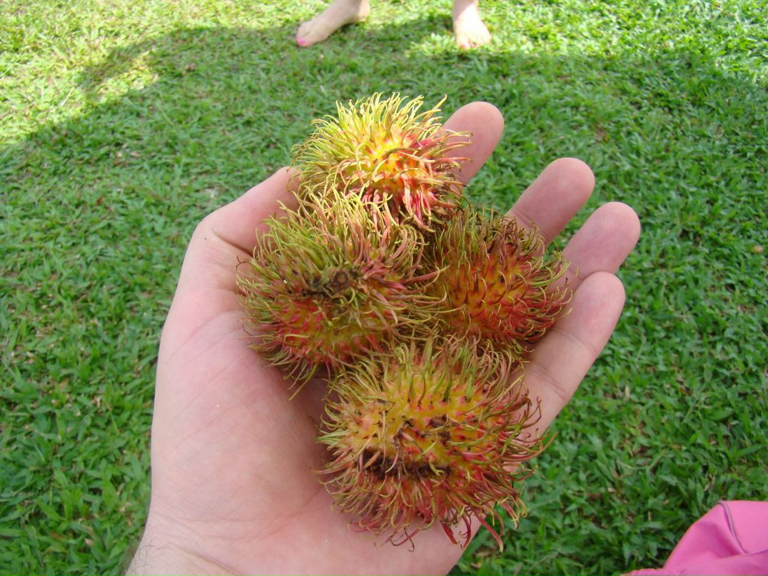 Олег Ройко | Харьков