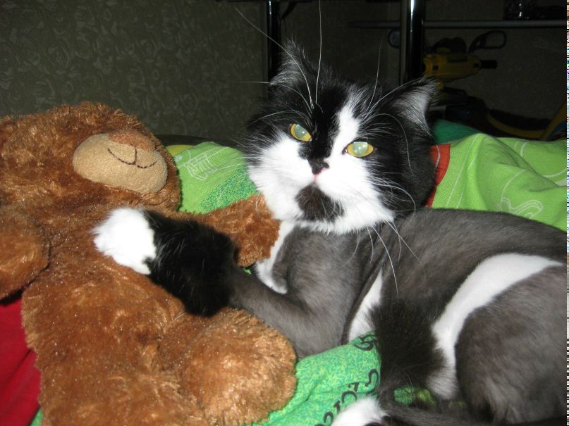 Екатерина Маленко | Магнитогорск