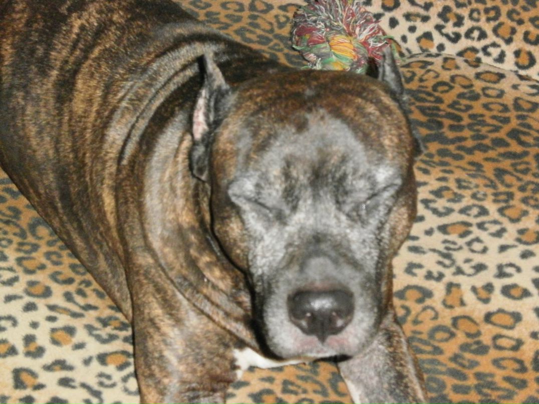 Дарья Майченковская | Днепр (Днепропетровск)