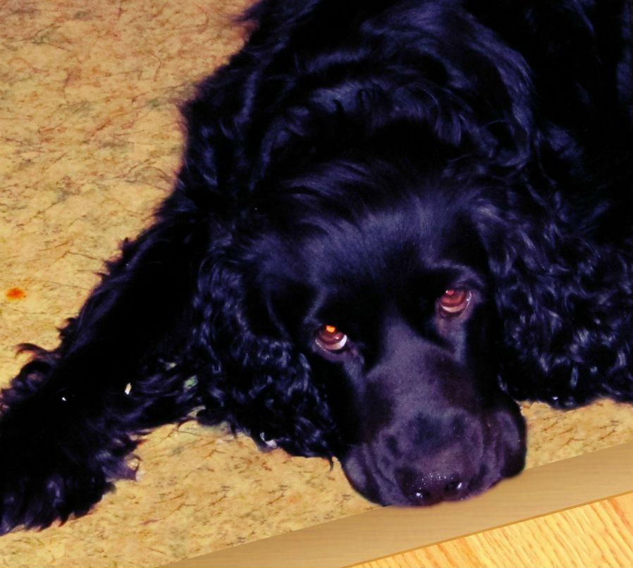 Жанна Гридина | Сосногорск