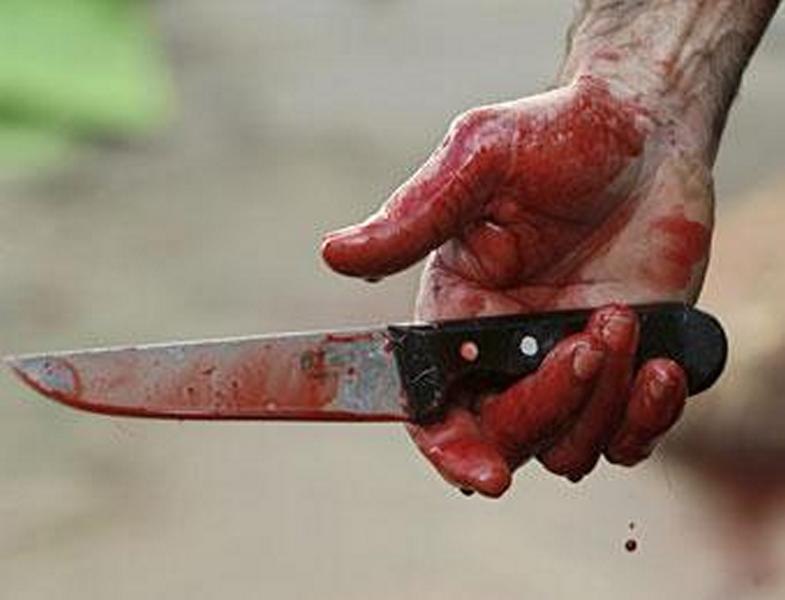 Алина Шевченко | 