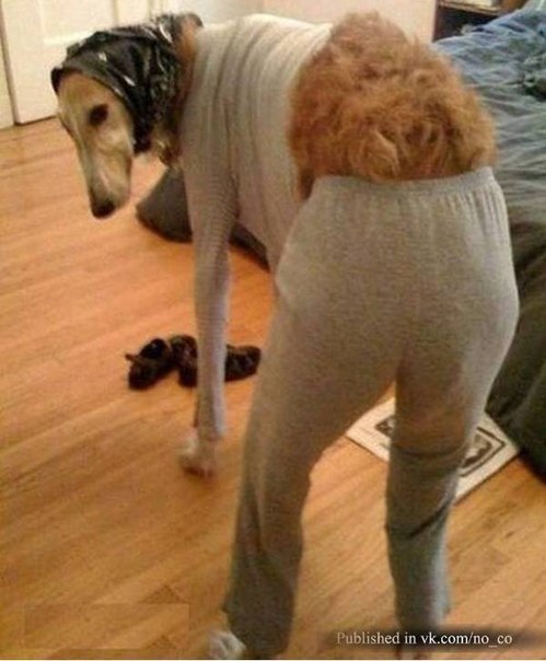 Олеся Дукмасова | Запорожье