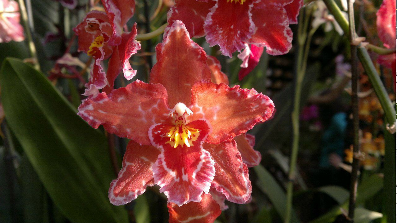 Екатерина Володина | Москва