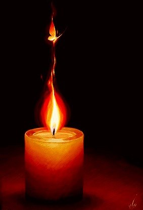 Аня Поліщук | Тараканов