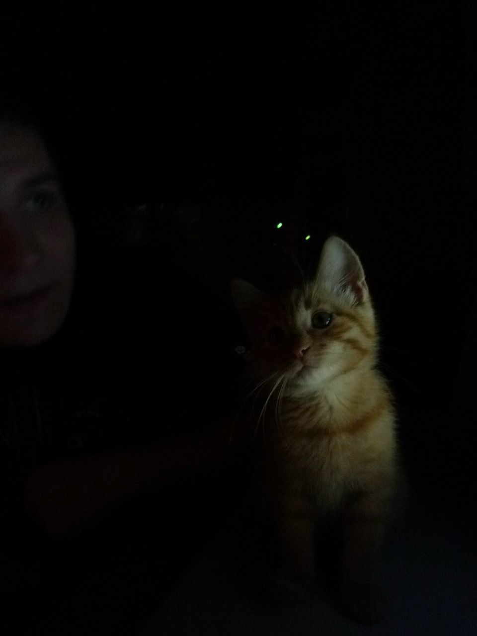 Анастасия Кашина | Ивантеевка