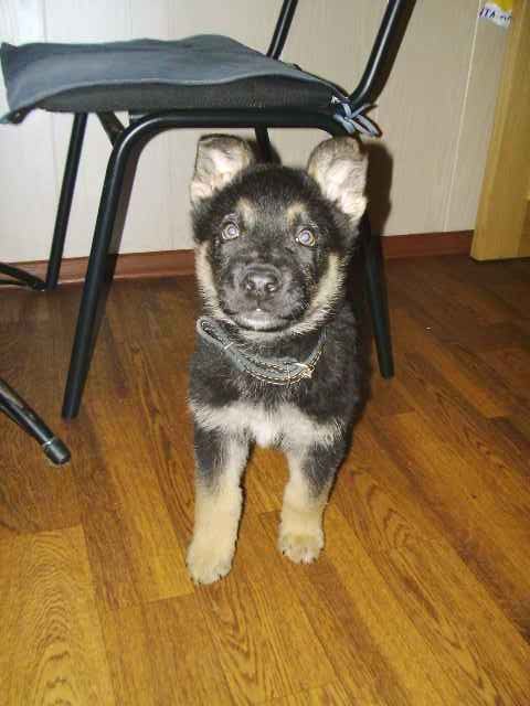 Андрей Яровенко | Санкт-Петербург