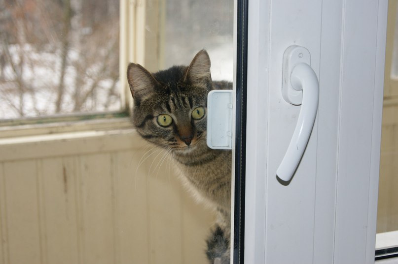 Семен Костин | Петрозаводск