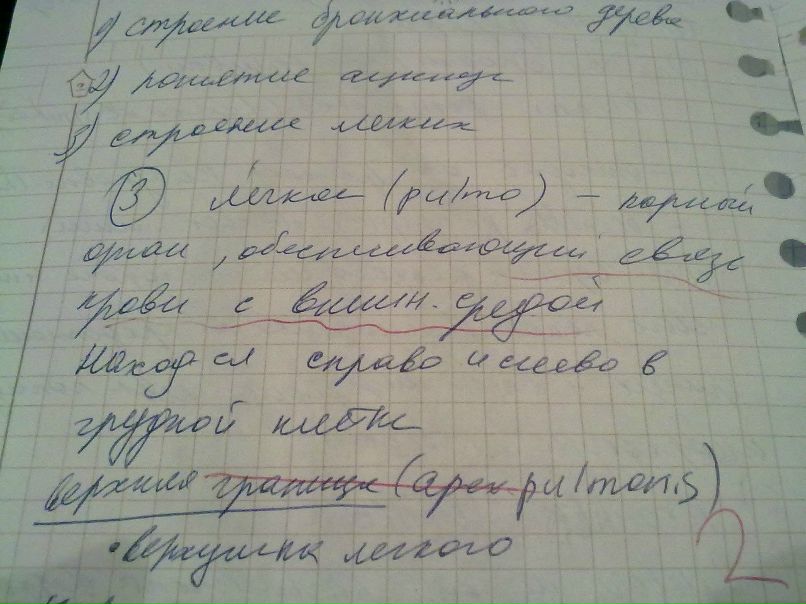 Марина Рысь Дмитриевна | 