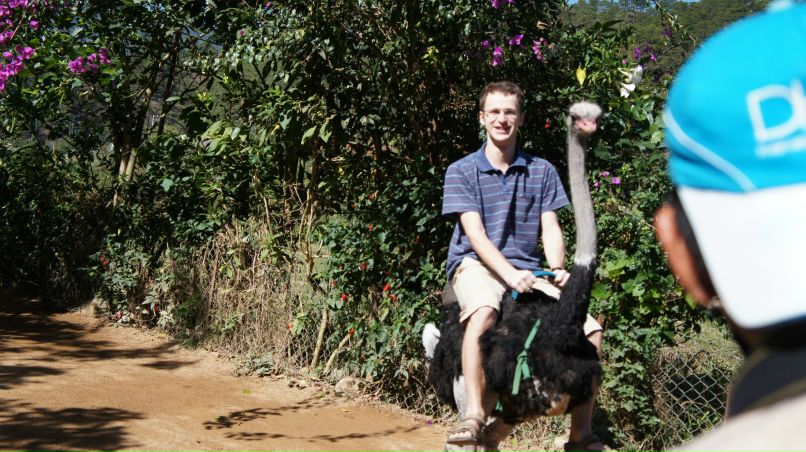 Дмитрий Кобыжча | Санкт-Петербург