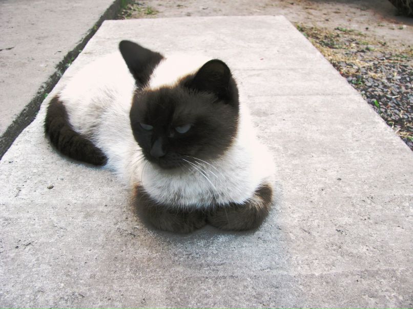 Леся Данилюк | Новоград-Волынский