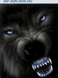 Иван Сергеев Василевич | Одесса