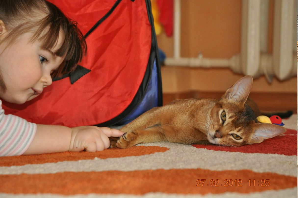 Лидия Аникина | 