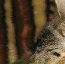 Юлия Тюликова | Ростов-на-Дону