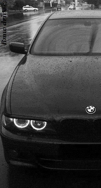 Оленька Цикунова | Псков