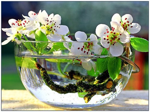 №8, Анна Гаврилова №8, Анна Гаврилова