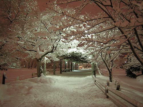 №64, Anastasia Genova, Екатеринбург №64, Anastasia Genova, Екатеринбург