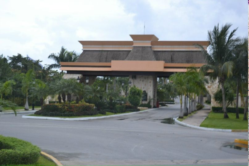 Полина Лактюнина | Тосно