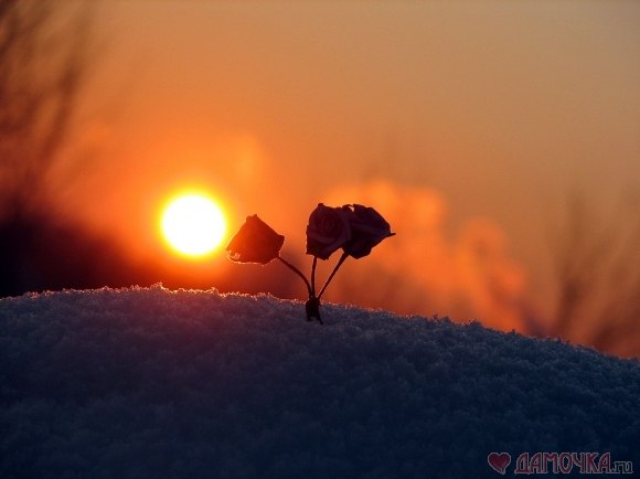 №160, Ирина Кирюхина №160, Ирина Кирюхина