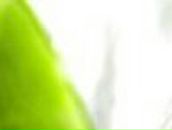 Ольга Говорунова | Майкоп