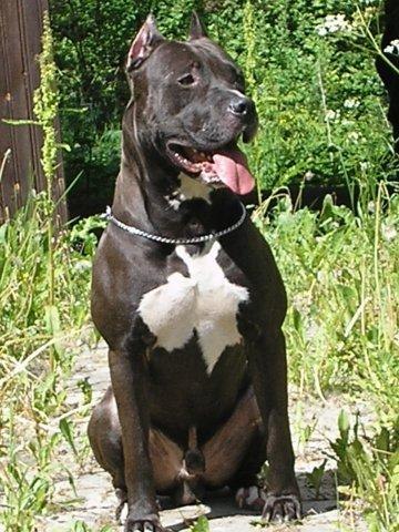 Виталий Дзыгалюк | Енакиево